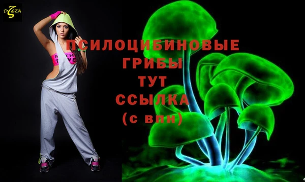 прущий лед Бугульма