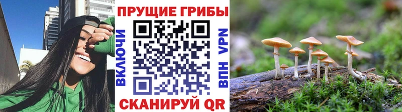 Галлюциногенные грибы прущие грибы  Чита 